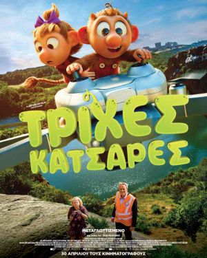 ΤΡΙΧΕΣ ΚΑΤΣΑΡΕΣ